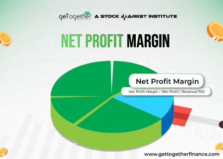 Net Profit Margin