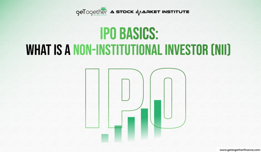 Non Institutional Investor