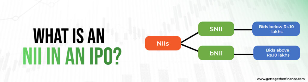 What is an NII in an IPO